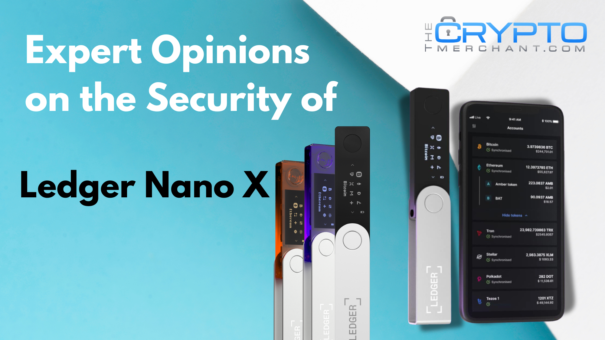 Expert Opinions on the Security of Ledger Nano X – The Crypto Merchant