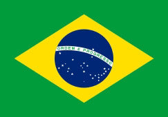 flag1
